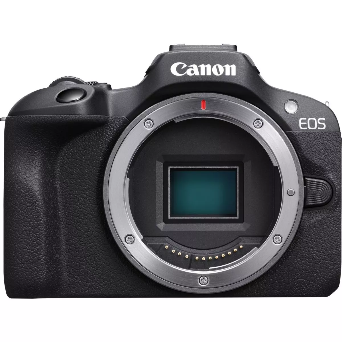 Canon EOS R100 + RF-S 18-45mm f/4.5-6.3 IS STM – Image 11