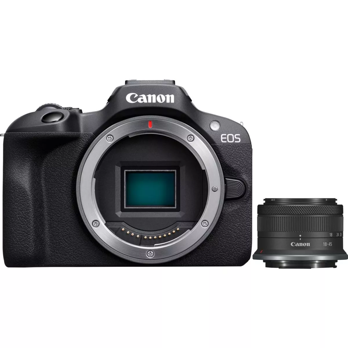 Canon EOS R100 + RF-S 18-45mm f/4.5-6.3 IS STM – Image 12